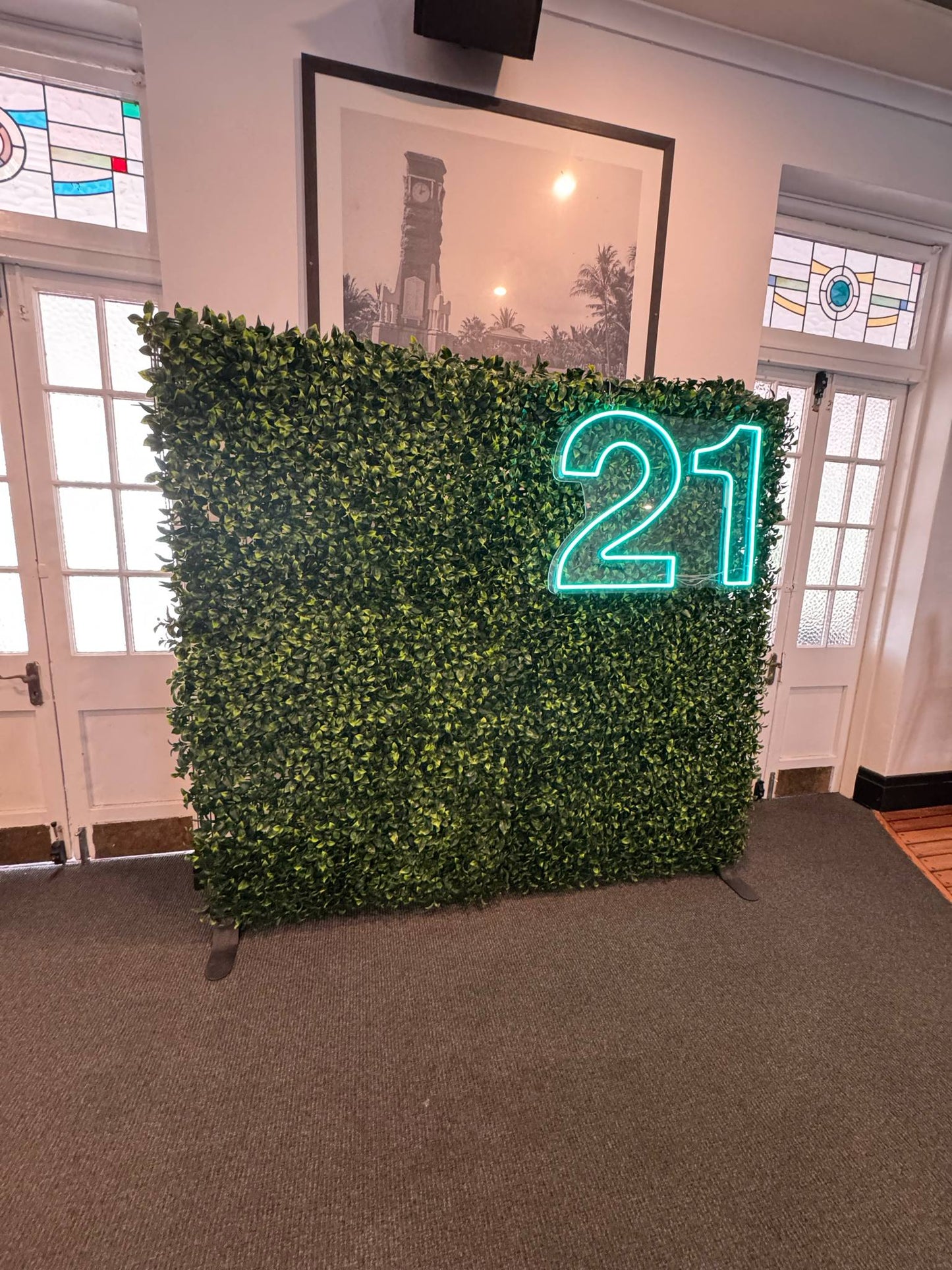 Jungle Wall Packages