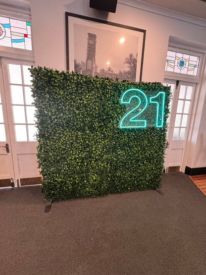 Jungle Wall Packages